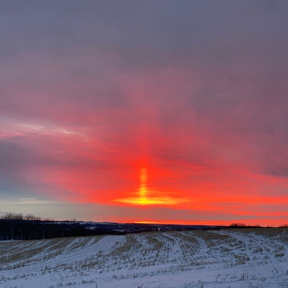 Meet your Posher, Grace - Picture 1 of 1